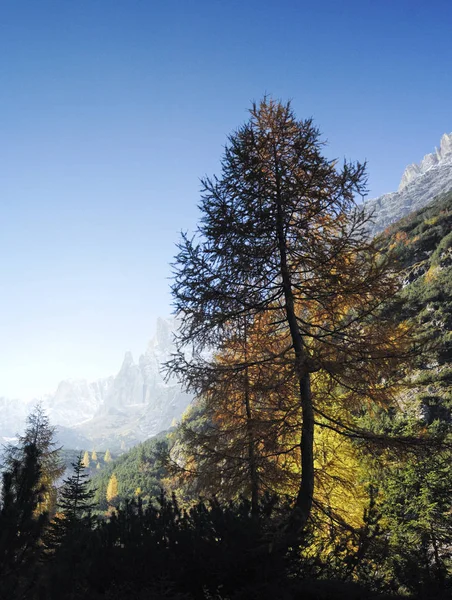 Fischlein Valley Sextener Dolomieten Zuid Tirol Italië Europa — Stockfoto