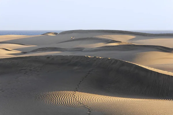 Dunas Arena Maspalomas Playa Del Inglés Gran Canaria España Europa —  Fotos de Stock