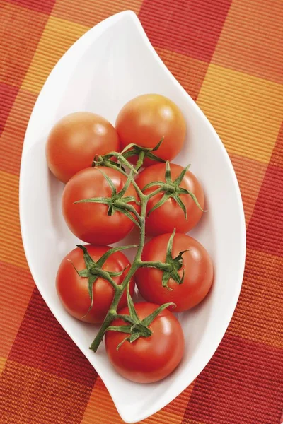 Tomates vermelhos frescos suculentos — Fotografia de Stock