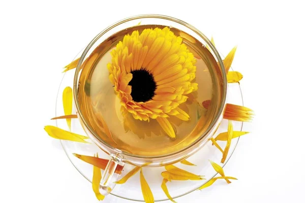 Marigold Чашка Чаю Квіти Календули — стокове фото