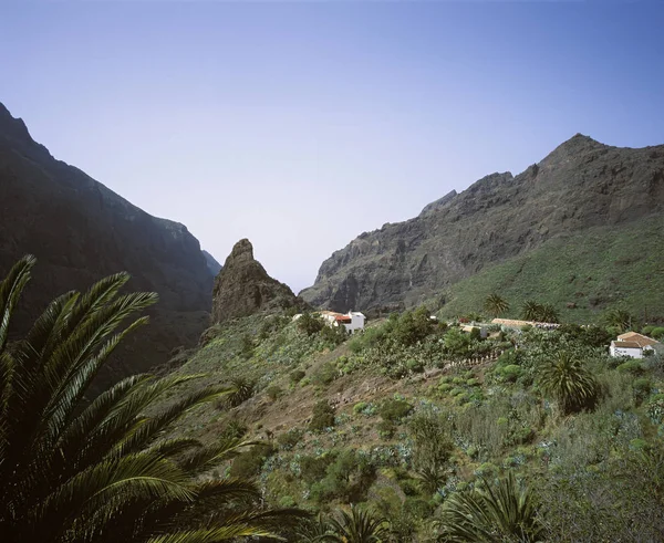 Masca Monti Teno Tenerife Isole Canarie Spagna Europa — Foto Stock