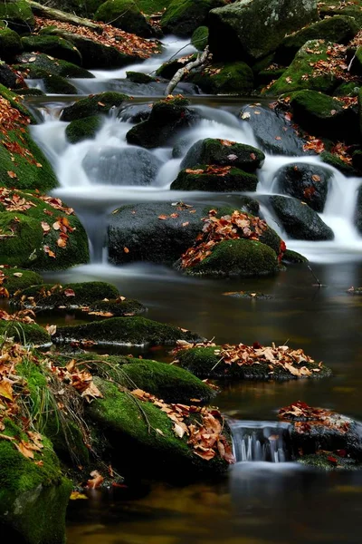 Mechem Porostlé Skály Horské Bystřiny Bayerischer Wald Bavorský Les Bavorsko — Stock fotografie