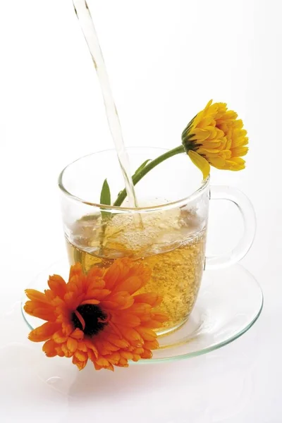 Caléndula Taza Con Flores Caléndula — Foto de Stock