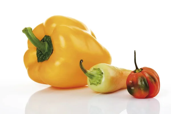 Gele Paprika Chilipepertjes Santa Habanero — Stockfoto