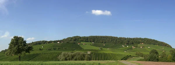 ドナースドルフ ドナースドルフ 下フランコニア バイエルン ドイツ ヨーロッパの近くのブドウ栽培地域ファルケンシュタイン — ストック写真
