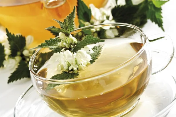 Deadnettle tea, teapot and teacup