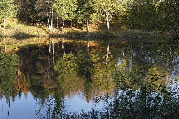 Basaltsee Basaltsee Wald Deutschland Europa — Stockfoto