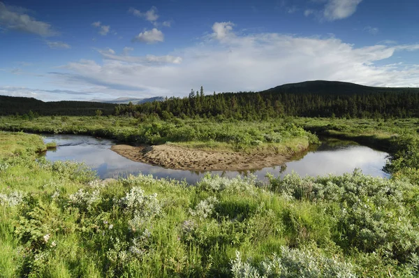 Floden Böja Nationalparken Jotunheimen Norge Skandinavien Europa — Stockfoto