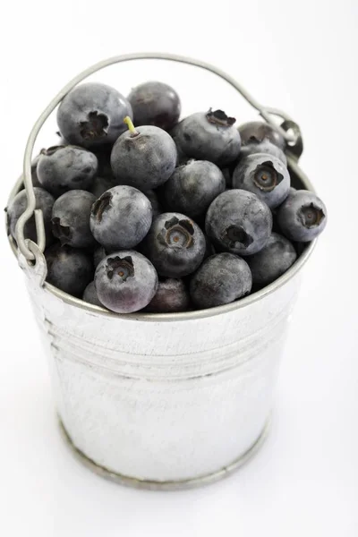 Small Tin Pail Filled Blueberries — Stock Photo, Image