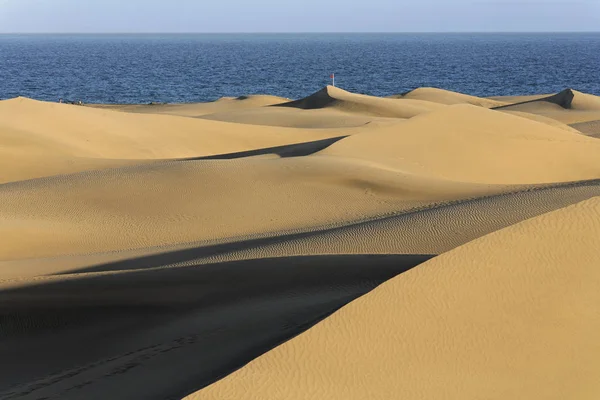 Zandduinen Maspalomas Playa Del Ingles Gran Canaria Spanje Europa — Stockfoto