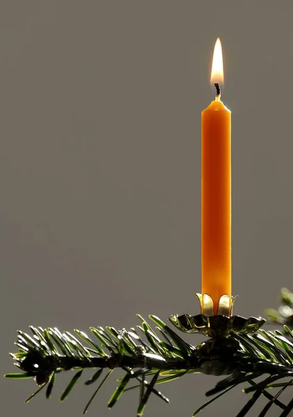 Krásný dekorativní svíčka — Stock fotografie