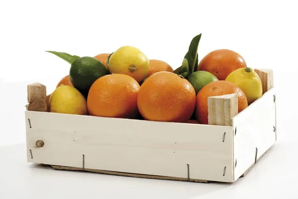 Citrus Fruit Crate Lemons Limes Oranges — Stock Fotó