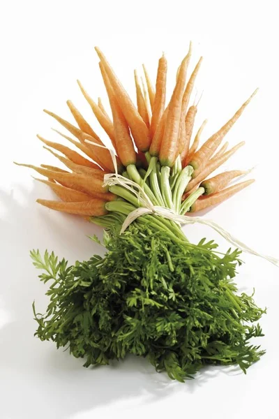 Ramo Zanahorias Mini Zanahorias Daucus Carota Ssp Sativus —  Fotos de Stock