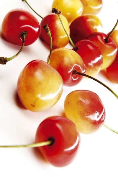 Wild Sweet Cherries Prunus Avium — Stock Photo, Image