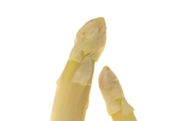 Verse Witte Asperges Tekenreeksen Geïsoleerd Wit — Stockfoto