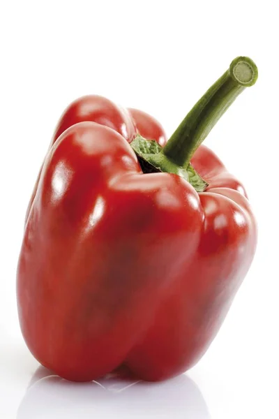 Red Pepper White Background — Stock Photo, Image