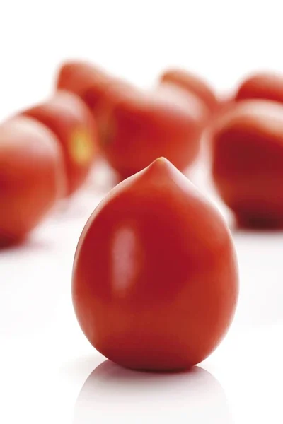 붉은 신선한 토마토 — 스톡 사진
