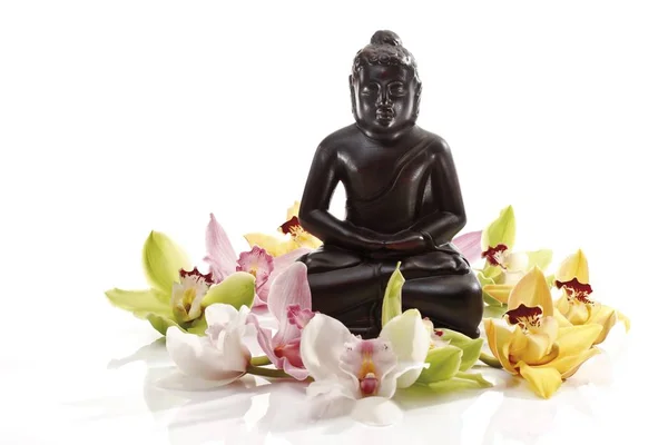Όμορφα Λουλούδια Ορχιδέας Και Άγαλμα Του Βούδα — Φωτογραφία Αρχείου