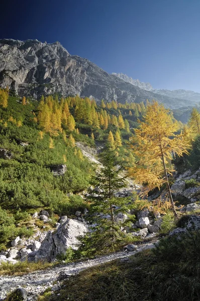 Elferkofel Fischlein Valley Sextener Dolomites Tirol Sul Itália Europa — Fotografia de Stock