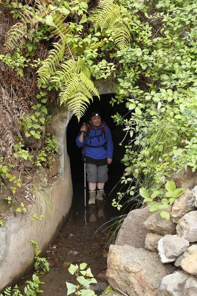 Vattentunnel Cedro Gomera Kanarieöarna Spanien Europa — Stockfoto