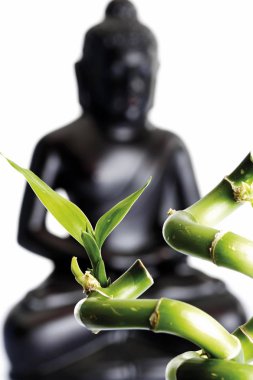 Lucky Bamboo leaves, Dracaena sanderiana and buddha statue clipart