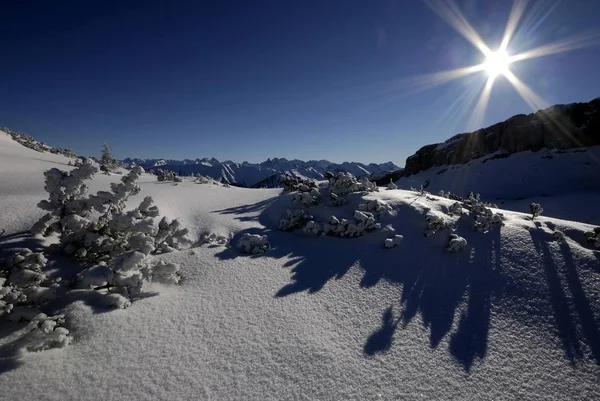 Hermoso paisaje nevado en invierno —  Fotos de Stock