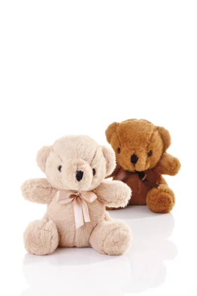 Zwei Teddybären Isoliert Auf Weiß Studio — Stockfoto