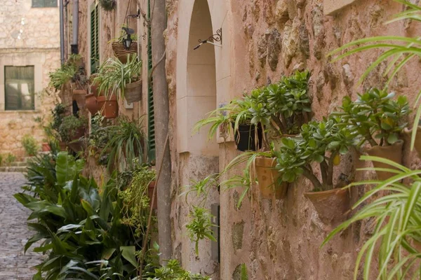 Flores Que Decoram Uma Rua Valldemossa Maiorca Ilhas Baleares Espanha — Fotografia de Stock