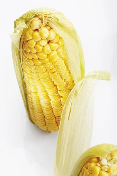 Verse Maïskolf Van Maïs Zea Mays Subsp Mays — Stockfoto