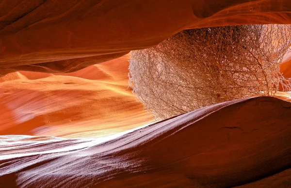 Cañón del antílope, arizona —  Fotos de Stock