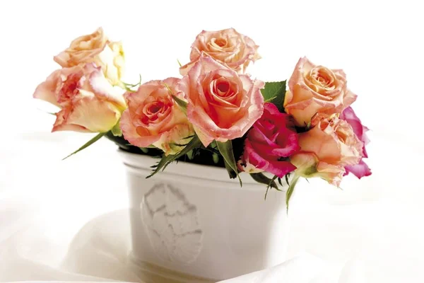Rosen Einer Weißen Vase — Stockfoto