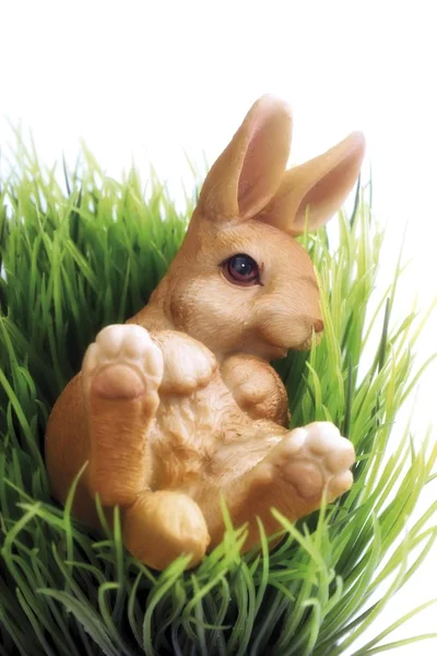 Easter Bunny Green Grass — Stock Photo, Image