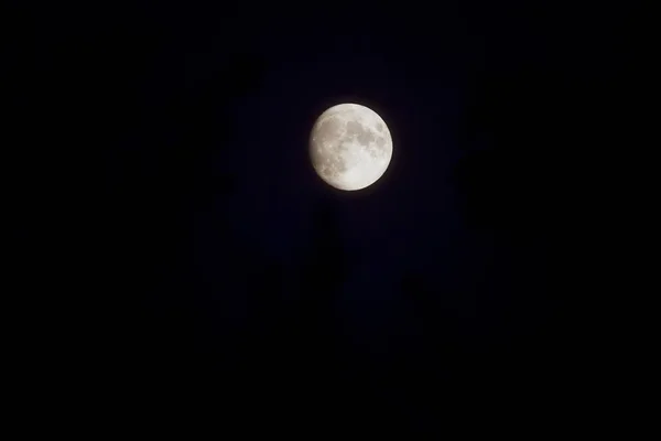 Månen Över Himlen Natten — Stockfoto
