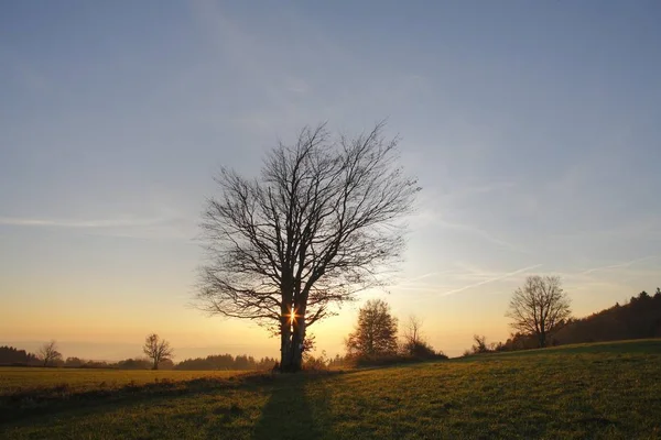 Morgonstämning Platzer Kuppe Rhoen Franken Bayern Tyskland Europa — Stockfoto