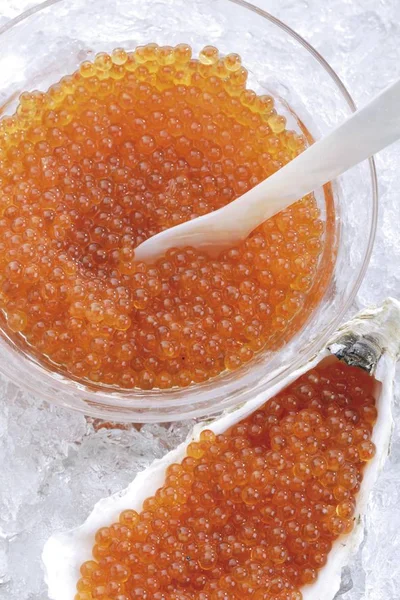 Caviar Salmón Tazón Con Cuchara Nácar — Foto de Stock