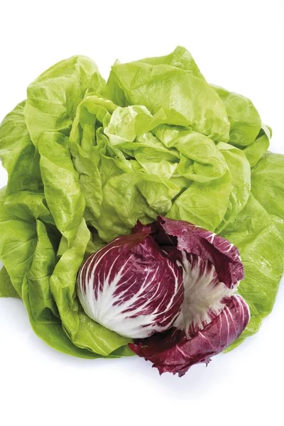 Fejes Saláta Vörös Cikória Saláta Levelek — Stock Fotó