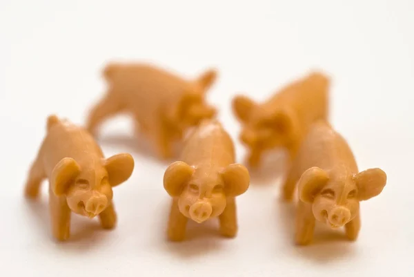 Cinq Petits Cochons Jouets Isolés Sur Blanc Studio — Photo