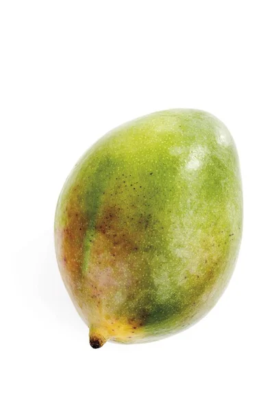 Mango Mangifera Indica Frukt — Stockfoto