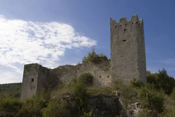 Kastély Tönkre Dvigrad Kanfanar Isztria Horvátország Európa — Stock Fotó