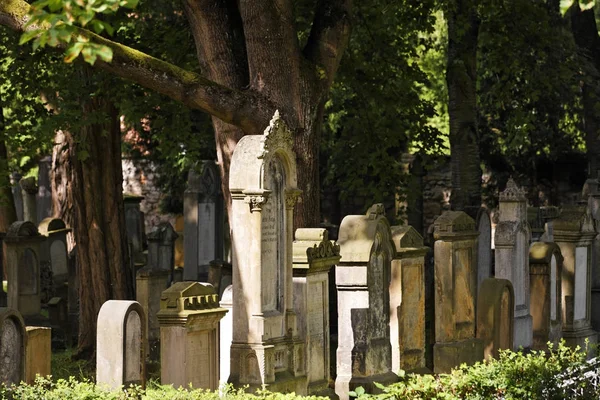 Židovský Hřbitov Řezno Horní Falc Bavorsko Německo Evropa — Stock fotografie