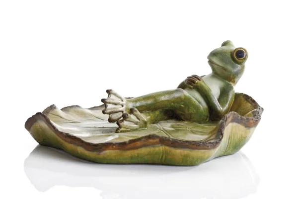 Decorative Frog Figure Toy Lying Lotus Leaf — Stock Photo, Image