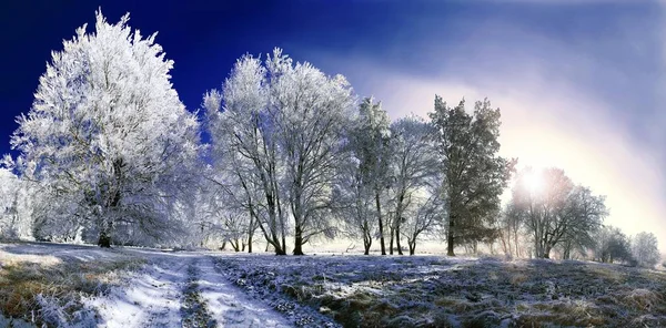 Geada paisagem de inverno — Fotografia de Stock