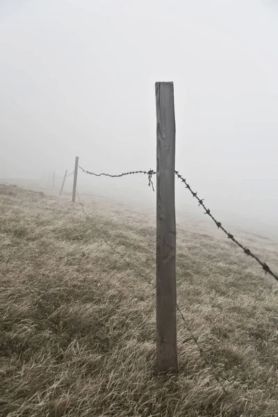 Fence with fog in the field