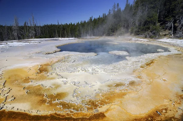 Geyser Yellowstone Paisaje Del Parque Nacional — Foto de Stock