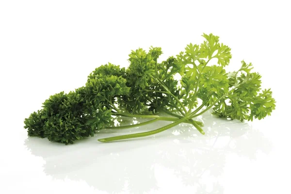 Hamburg Parsley Petroselinum Crispum Isolated White — Stock Photo, Image