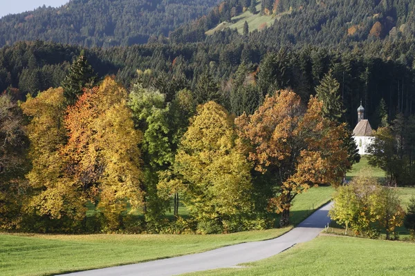 Wackersberg Oberbayern Tyskland Europa — Stockfoto