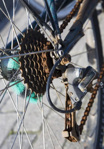 Rusty sprocket wheels at a bike, Germany, Europe