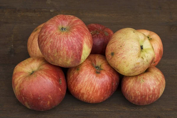 Untreated Biological Apples Hassberge Lower Franconia Bavaria Germany Europe — Stock Photo, Image