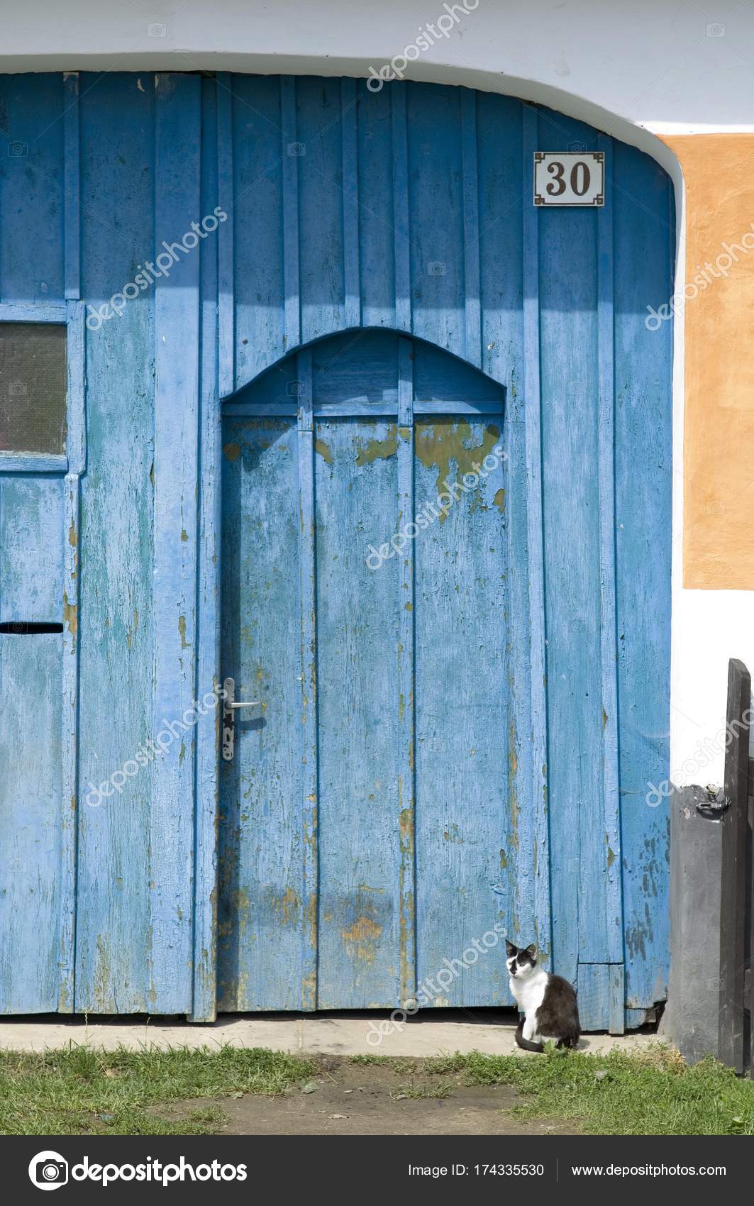 Blue Door Building Cat Stock Photo C Imagebrokermicrostock