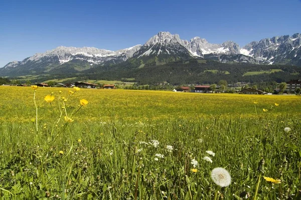 Ellmau Wilden Kaiser Perto Scheffau Tirol Áustria — Fotografia de Stock